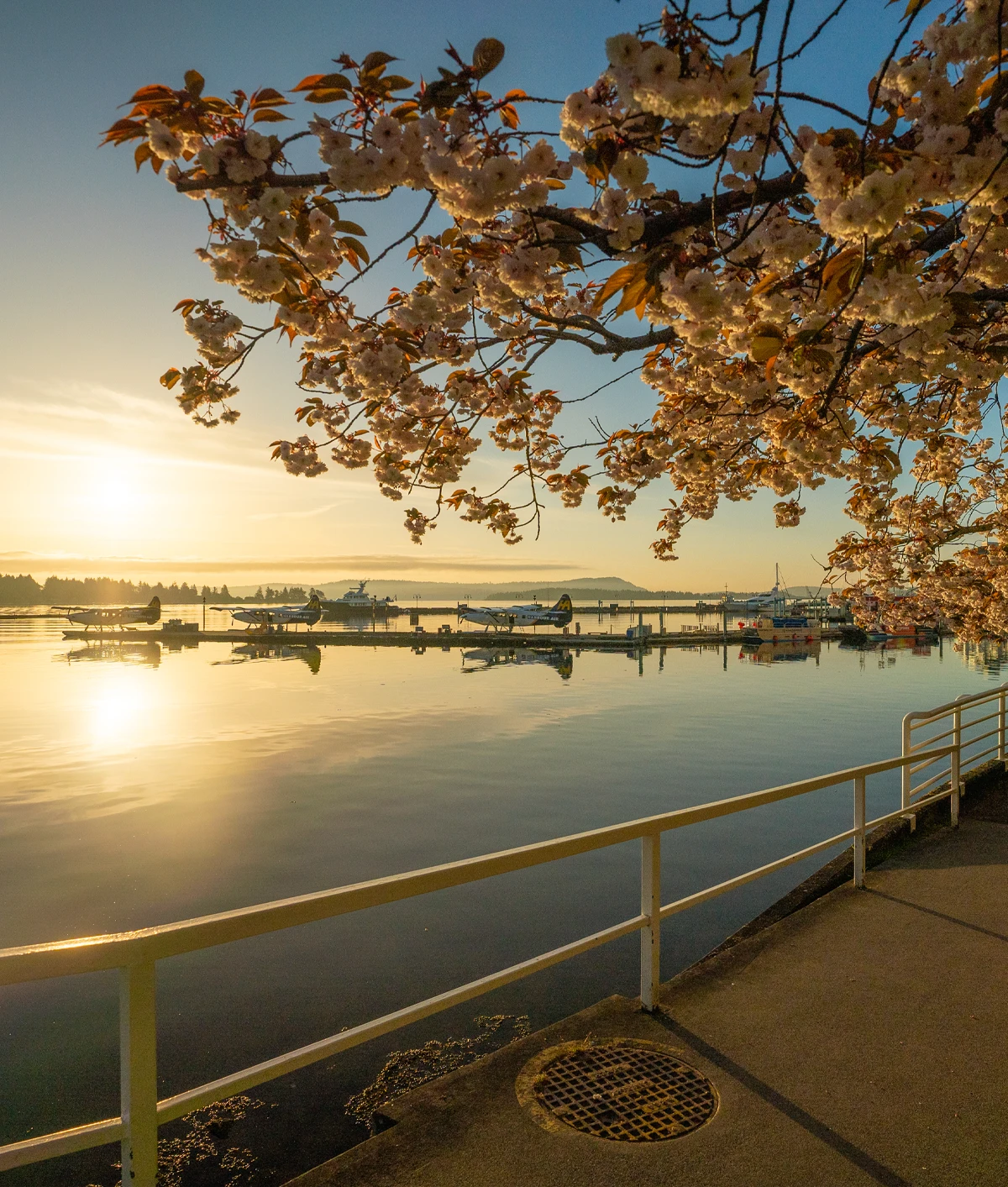 Featured Residential Property Image